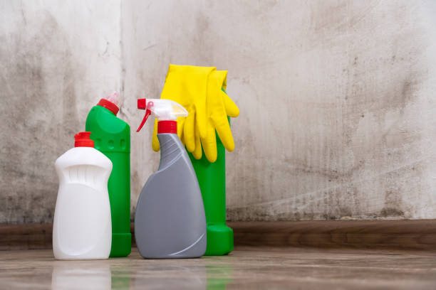 Reliable Aetna Estates, CO Mold Removal Solutions